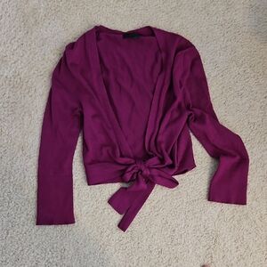 Express Magenta Knit Top